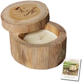 Candle Fu アロマキャンドル ソイワックス ソイキャンドル (Healthy Herb, S)